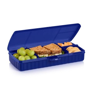 Lunch and Snacks Tupperware Lunch 'N Things Container Blue | FALKG-2980